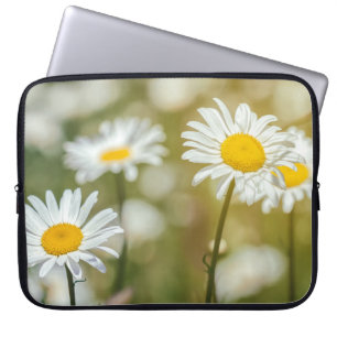 Vibrant White Oxeye Daisies Laptop Sleeve