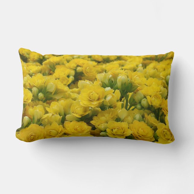 Vibrant Yellow Flowers Beautiful Nature Photograph Lumbar Cushion (Front)