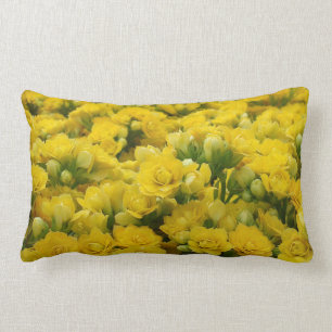 Vibrant Yellow Flowers Beautiful Nature Photograph Lumbar Cushion