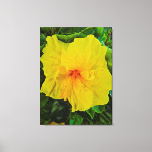Vibrant Yellow Hibiscus Flower Canvas Print