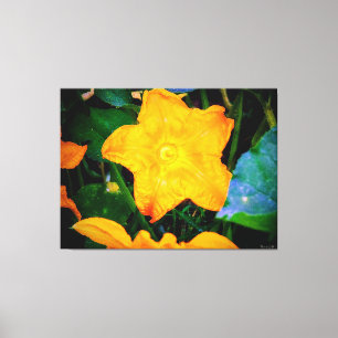 Vibrant Yellow Squash Blossom Canvas Print