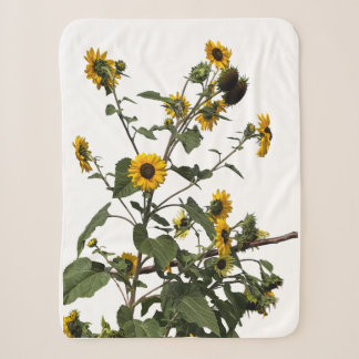 Vibrant Yellow Sunflower Sherpa Blanket