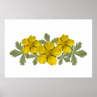 Vibrant Yellow Yosemite Wildflowers Poster