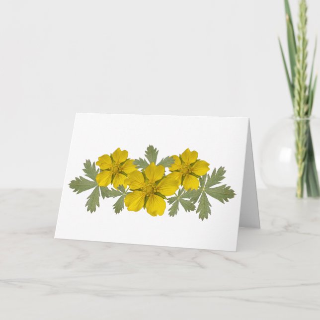 Vibrant Yosemite Wildflowers Folded Card (Front)