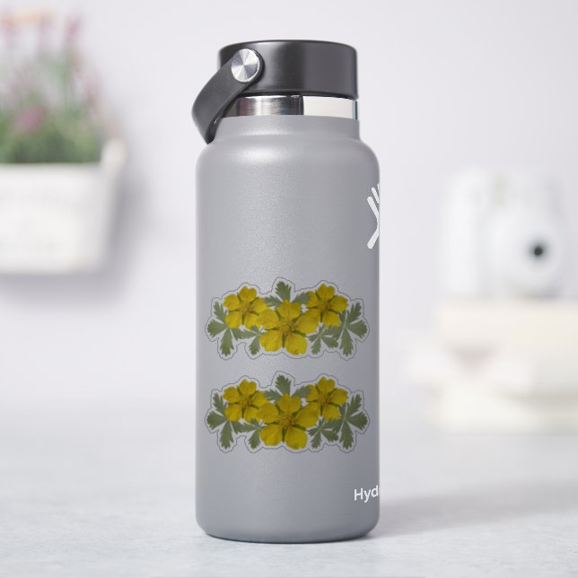 Vibrant Yosemite Wildflowers, set of 2 stickers (HydroFlask)