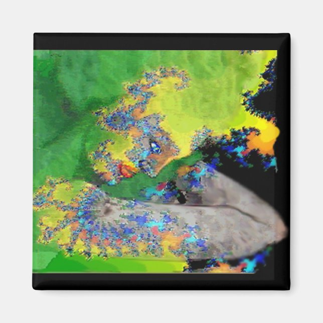 VIBRATIONS OF MATTER MAGNET (Front)