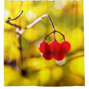 Viburnum Berries Champion Shower Curtain