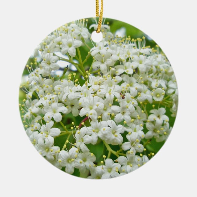 Viburnum  Christmas Ornament (Front)