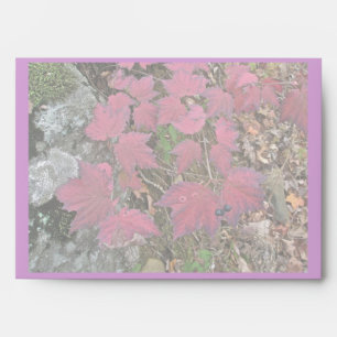Viburnum Fall Foliage Items Envelopes