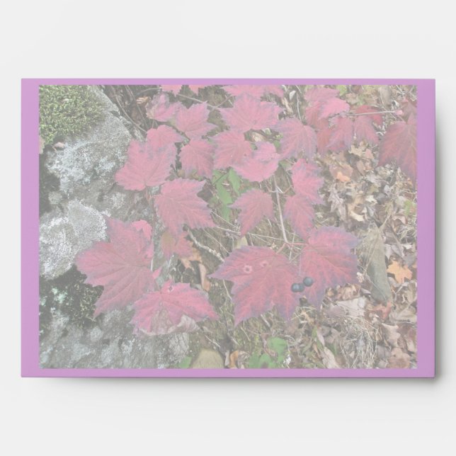 Viburnum Fall Foliage Items Envelopes (Front)