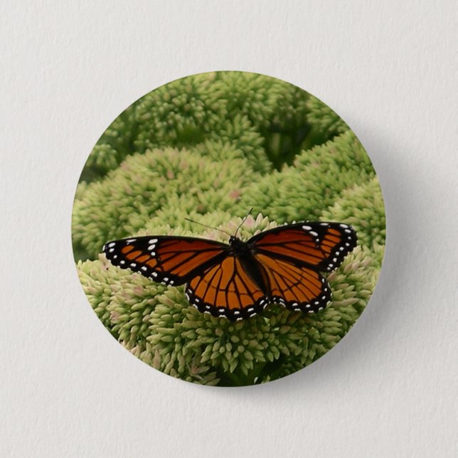 Viceroy Butterfly Beautiful Nature Photography 6 Cm Round Badge (Front)