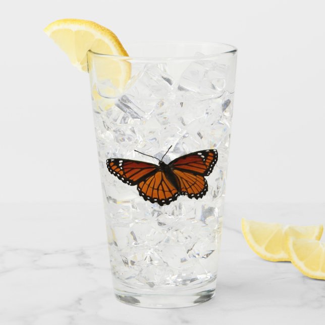 Viceroy Butterfly Beautiful Nature Photography Glass (Front Ice)