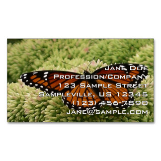 Viceroy Butterfly Beautiful Nature Photography Magnetic Business Card