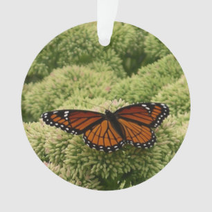 Viceroy Butterfly Beautiful Nature Photography Ornament