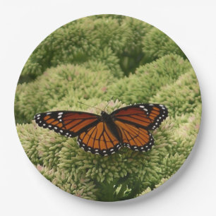 Viceroy Butterfly Beautiful Nature Photography Paper Plate