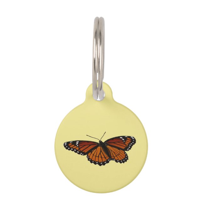 Viceroy Butterfly Beautiful Nature Photography Pet Tag (Front)