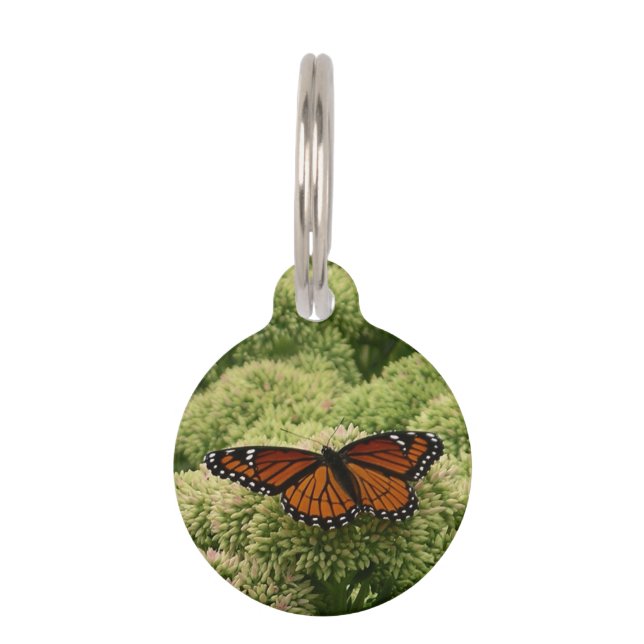 Viceroy Butterfly Beautiful Nature Photography Pet Tag (Front)
