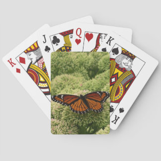Viceroy Butterfly Beautiful Nature Photography Playing Cards