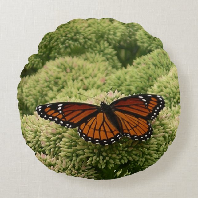 Viceroy Butterfly Beautiful Nature Photography Round Cushion (Front)