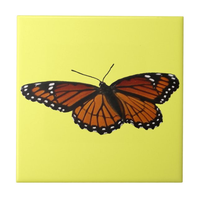 Viceroy Butterfly Beautiful Nature Photography Tile (Front)