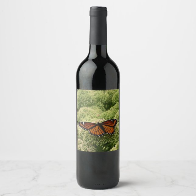 Viceroy Butterfly Beautiful Nature Photography Wine Label (Front)