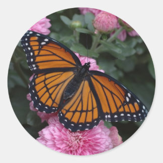 viceroy butterfly classic round sticker
