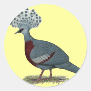 Victoria Crowned Pigeon Classic Round Sticker