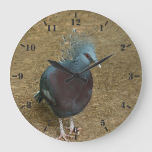 Victoria crowned pigeon large clock