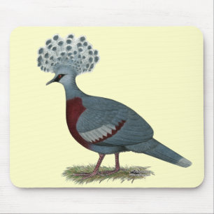 Victoria Crowned Pigeon Mouse Pad