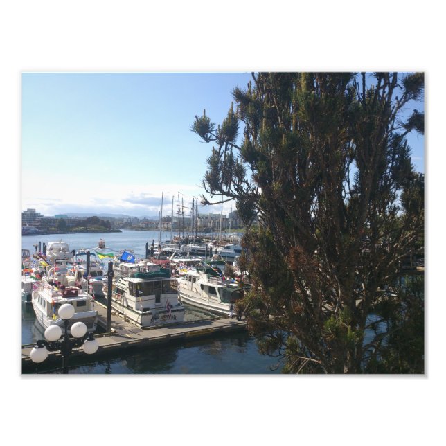 Victoria Harbour Photo Print (Front)
