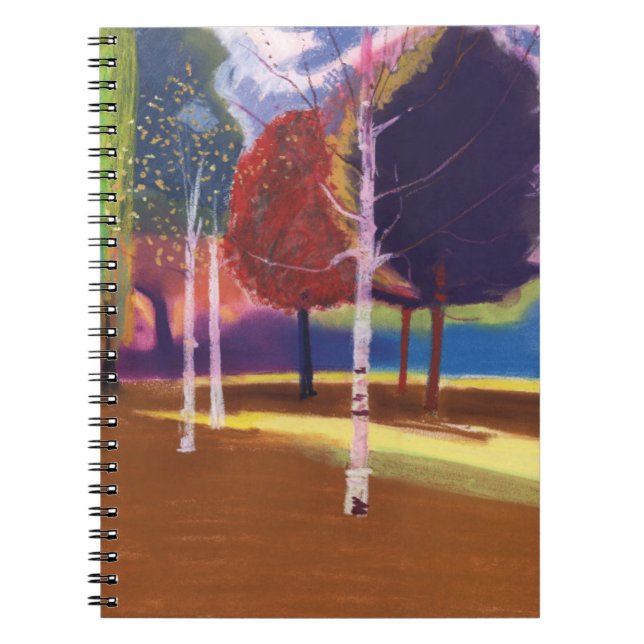 Victoria Park Bath Spiral Notebook (Front)