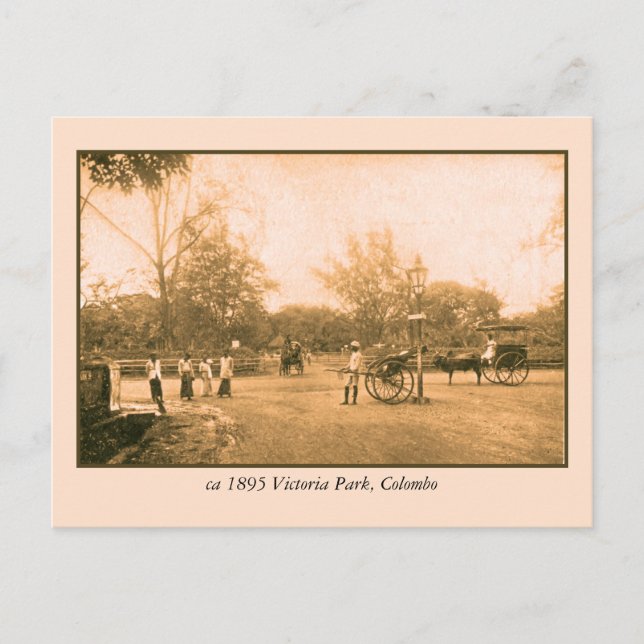 Victoria Park Colombo Ceylon (Sri Lanka) Postcard (Front)