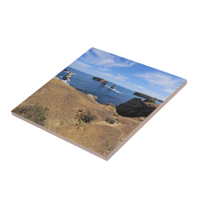 Victoria’s Bay of Islands Coastal Panorama Tile (Side)