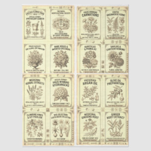 Victorian 1913 Design Chelsea Apothecary Labels Tissue Paper