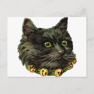 Victorian black cat with bell collar postcard