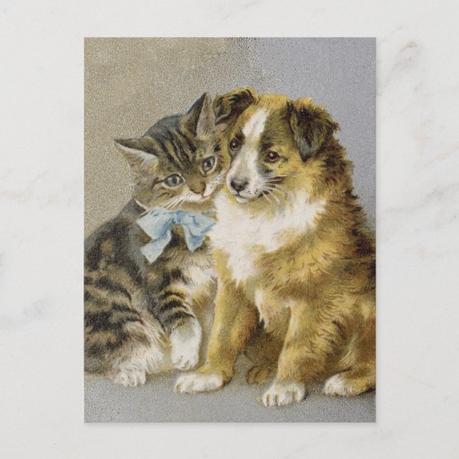 Victorian cat and dog intimate friendship postcard (Front)