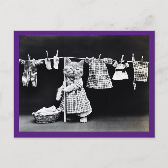 Victorian Cat, Vintage, Cat Art  Postcard (Front)