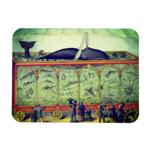Victorian circus vintage exhibition  magnet