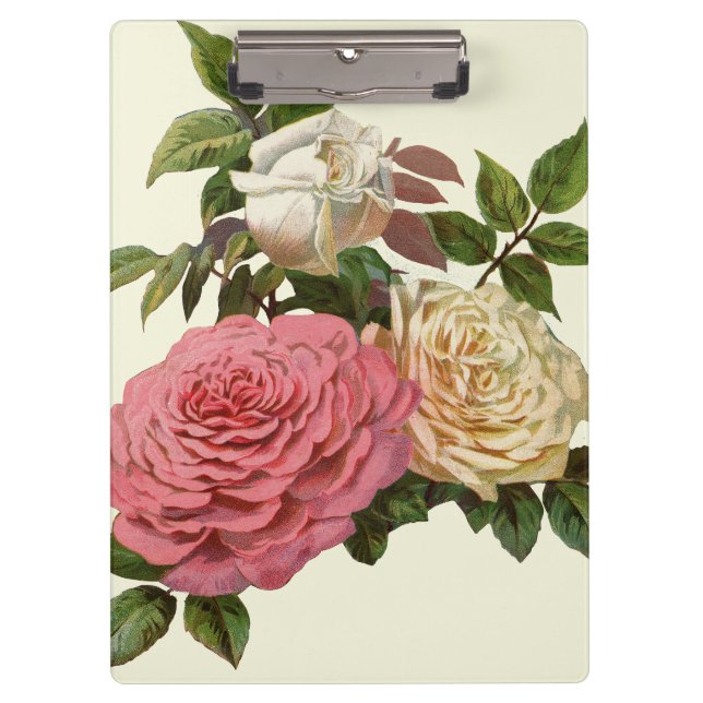 Victorian Cream and Pink Roses Clipboard (Front)