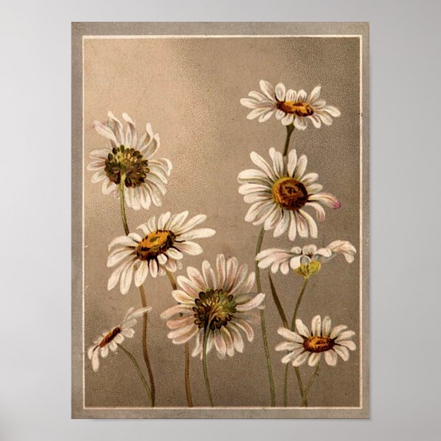 Victorian Daisies Poster (Front)