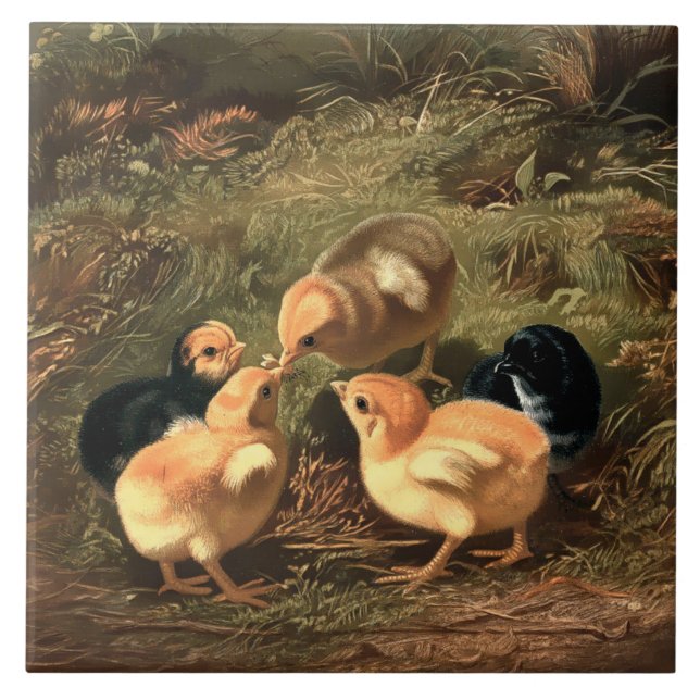 Victorian Era Baby Chickens Tile (Front)