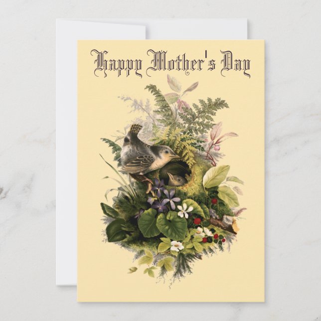 Victorian Era Wren's Nest & Flowers Mother's Day Holiday Card (Front)