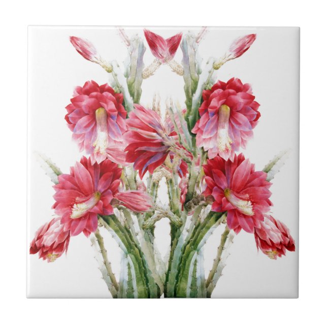 Victorian Flowering Cactus Pink Green Tile (Front)
