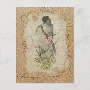 Victorian French Love Birds Love Song Postcard