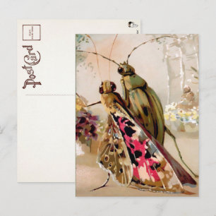 Victorian Insects Postcard