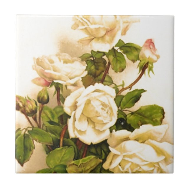 Victorian Ivory Rose Painting Tile (Front)