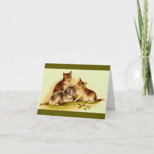 Victorian kittens note card