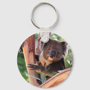 Victorian Koala Key Ring