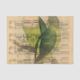 Victorian Music Sheet Watercolor Bird Wallpaper
