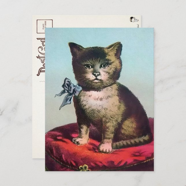 Victorian Odd Cat Postcard (Front/Back)
